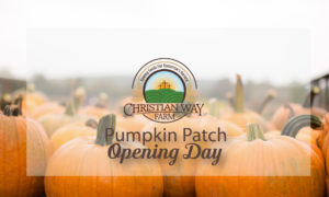 Christian Way Farm Pumpkin Patch near hopkinsville