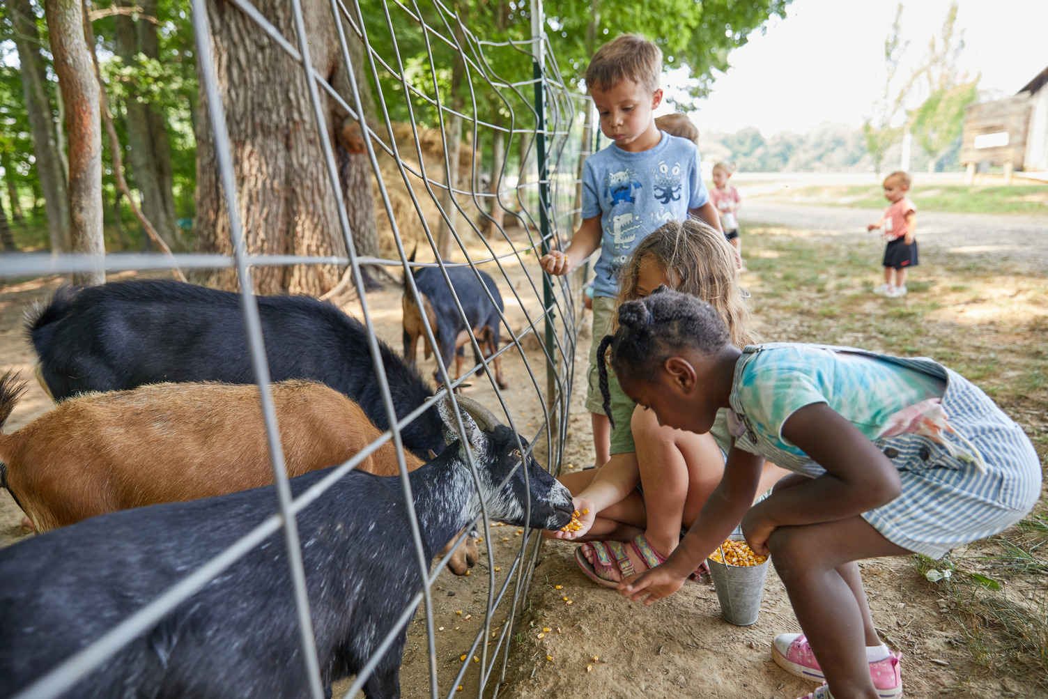 Christian Way Farm Mini Golf Feeding Animals